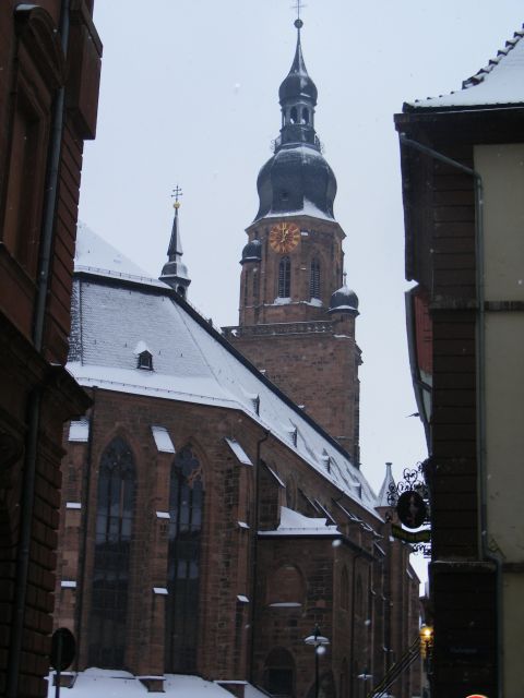 Heidelberg: 2-Hour Crime Tour with Costumed Guide - Town Hall and Market Square: the polished face of the old town