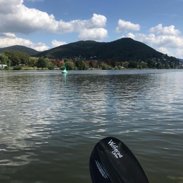 Heidelberg: 2-Hour Kayak Tour - Key points to know before booking