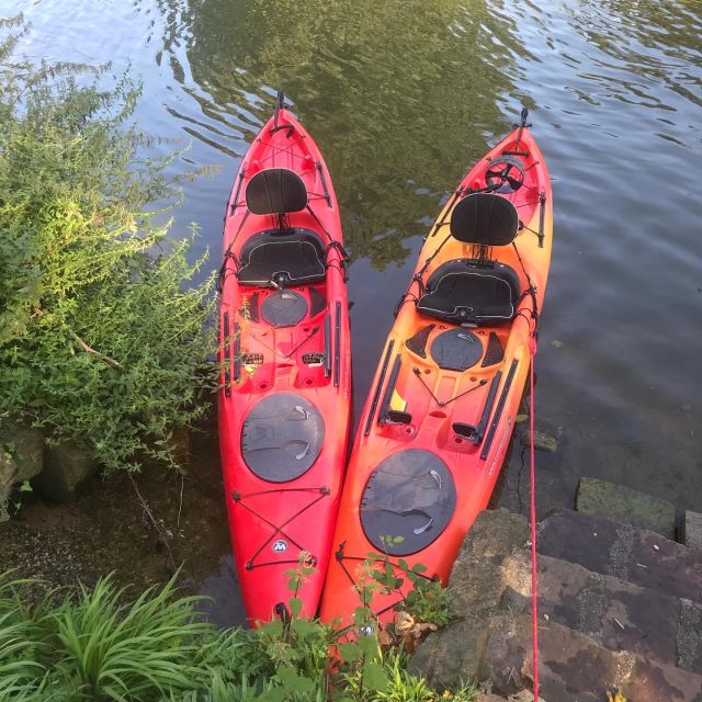 Heidelberg: 2-Hour Kayak Tour - What the small group changes
