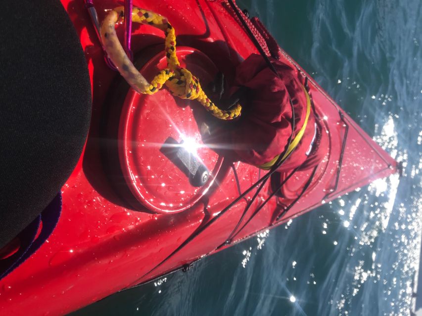 Heidelberg: 2-Hour Kayak Tour - How to fit the tour into your day