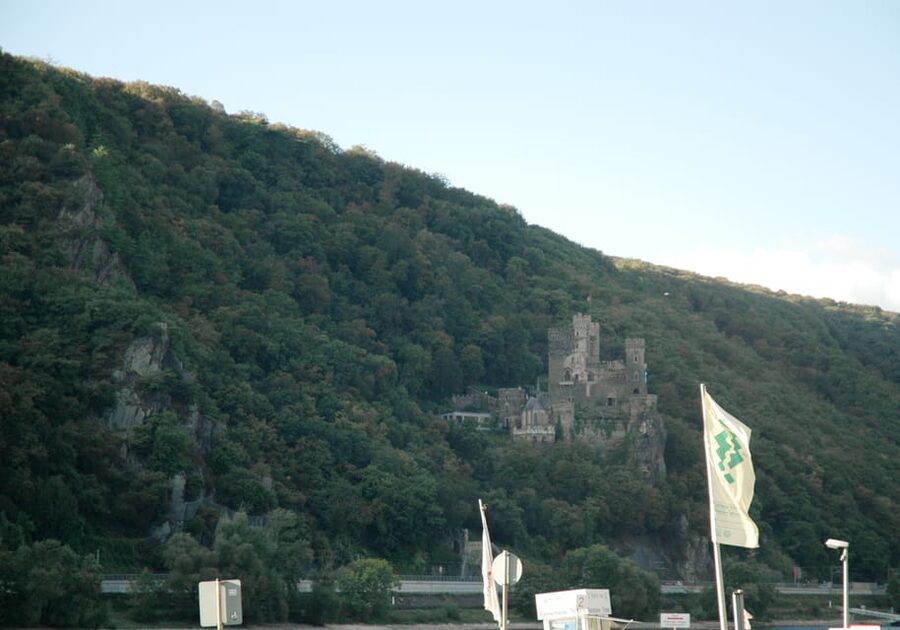 Heidelberg and Rhine Combination Tour from Frankfurt - Is $304 a fair price?