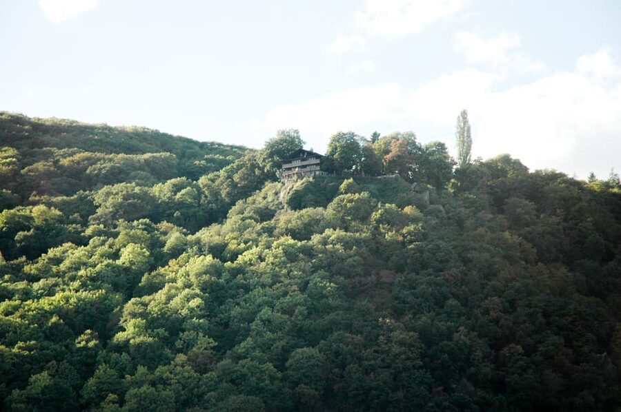 Heidelberg and Rhine Combination Tour from Frankfurt - The Upper Middle Rhine Valley by coach and steamer