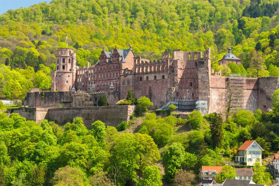 Heidelberg and Rhine Combination Tour from Frankfurt - Castles, vineyards, and villages along the Rhine