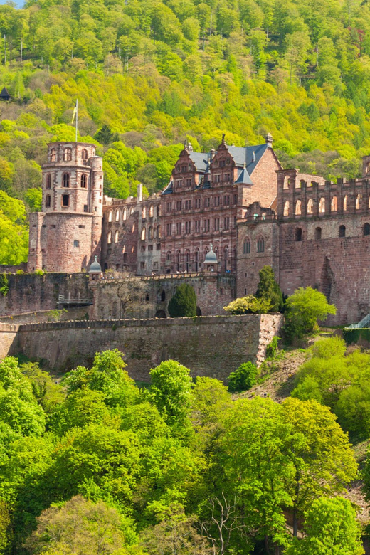 Heidelberg and Rhine Combination Tour from Frankfurt - Starting near Frankfurt Hauptbahnhof