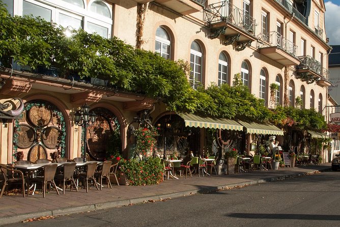 Heidelberg and Rhine Valley Day Trip With Wine Tasting and Dinner from Frankfurt - What the $309.93 price really buys