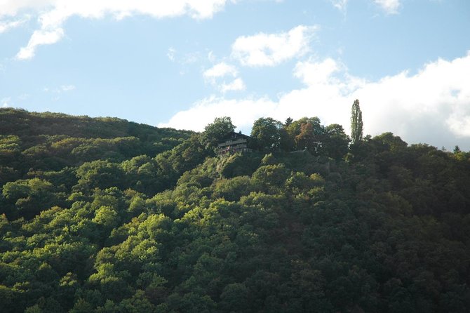 Heidelberg and Rhine Valley Day Trip With Wine Tasting and Dinner from Frankfurt - Who will enjoy this full-day outing