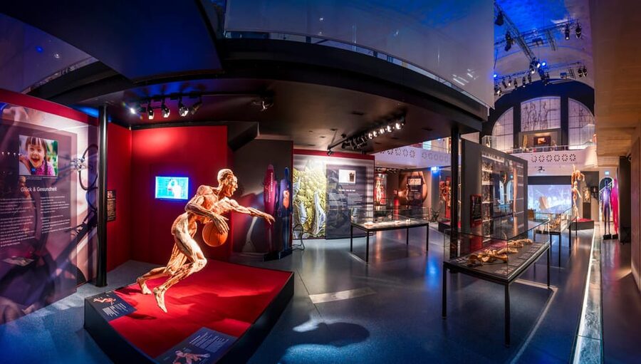Heidelberg: BODY WORLDS Museum Entry Ticket - How long should you stay?