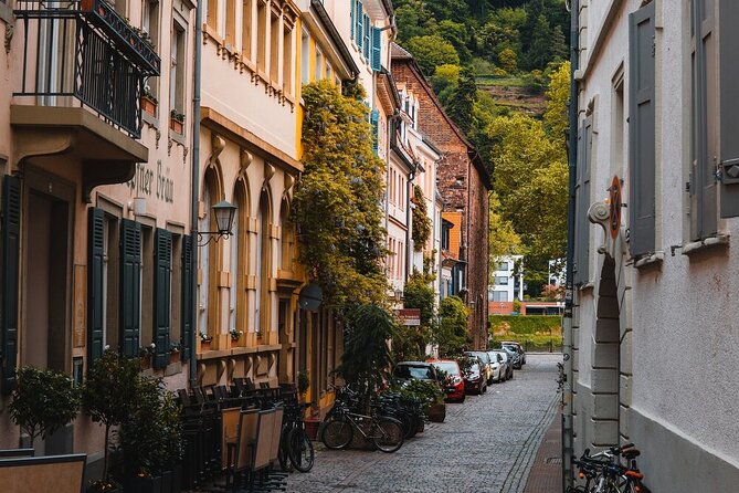 Heidelberg Castle and City Day Tour from Frankfurt - Walking from the castle to Heidelberg’s old center
