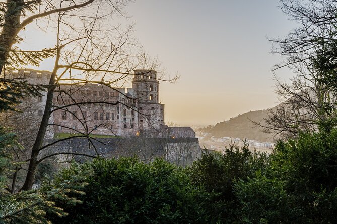 Heidelberg Castle and City Day Tour from Frankfurt - Heidelberg Castle: ruins, views, and the giant wine barrel