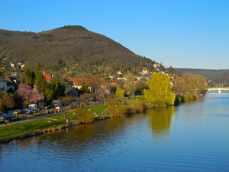 Heidelberg Castle Tour: Residence of the Electors - The Former Hortus Palatinus and the Walk Uphill