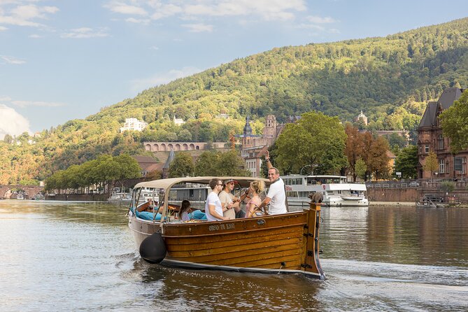 Heidelberg: exclusive private boat trip for up to 12 guests - Key points to know before booking