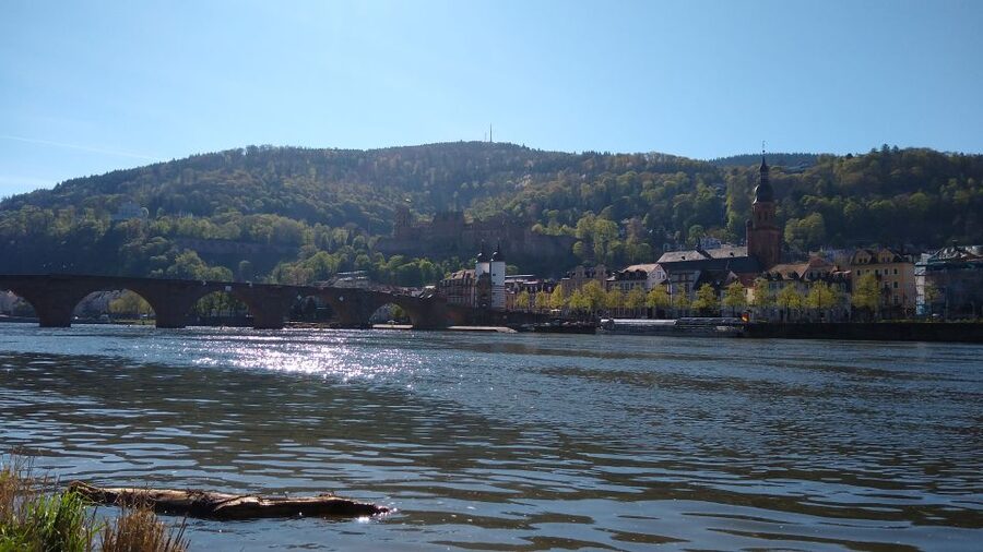 Heidelberg: Guided Bike Tour - Key points at a glance