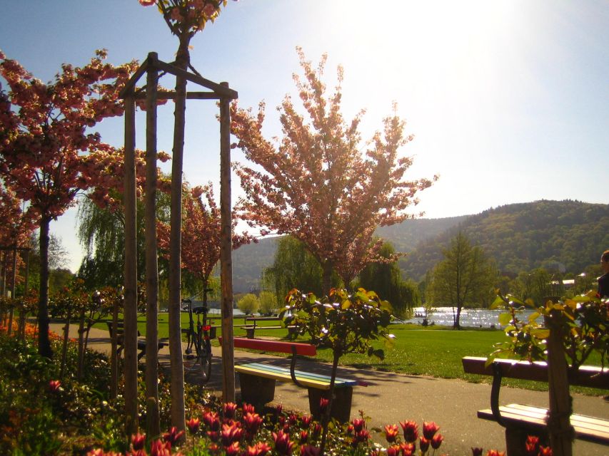 Heidelberg: Guided Bike Tour - Bergfriedhof and the quieter side of the city