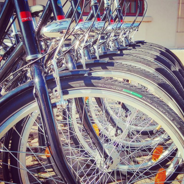 Heidelberg: Guided Bike Tour - Is $50 a fair price for 150 minutes?