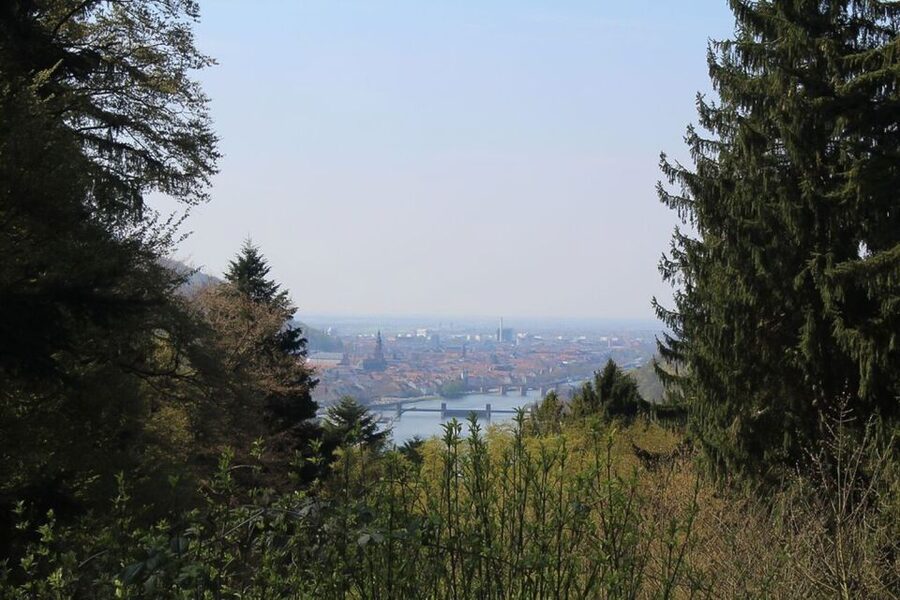Heidelberg Highlights Segway Tour with Castle - Key points at a glance