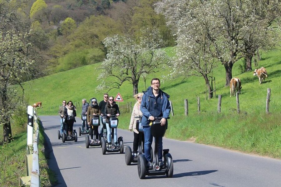 Heidelberg Highlights Segway Tour with Castle - Neuburg Abbey and the older Neckar Valley