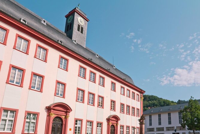 Heidelberg old Town Tour. - Key points to know before booking