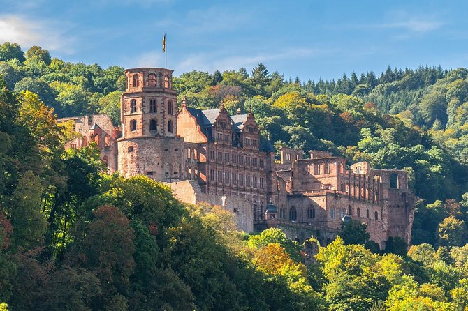 Heidelberg Private Walking Tour with a Local - Key points at a glance