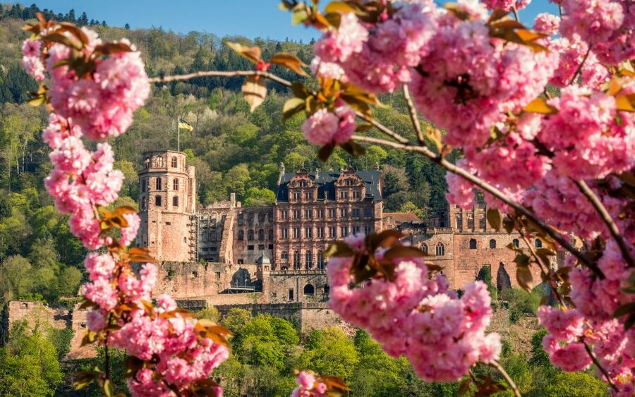Heidelberg: Sightseeing Bus and Castle Tour - The bus tour gives Heidelberg a useful frame