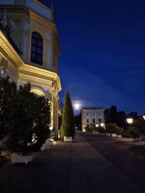 Kassel: Kassel's lost city by night - A few cautions before you reserve