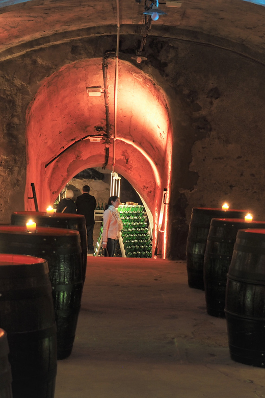 Koblenz: Historical Sparkling Wine Museum Guided Tour - Language, pace, and who will enjoy it