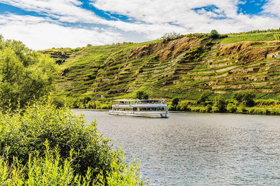 Koblenz: Panoramic Cruise on Moselle River to Winningen - Who should book this Moselle cruise