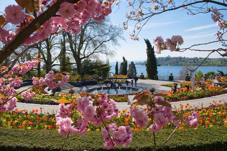 Konstanz: Mainau Island Entry Ticket - A useful day out for families