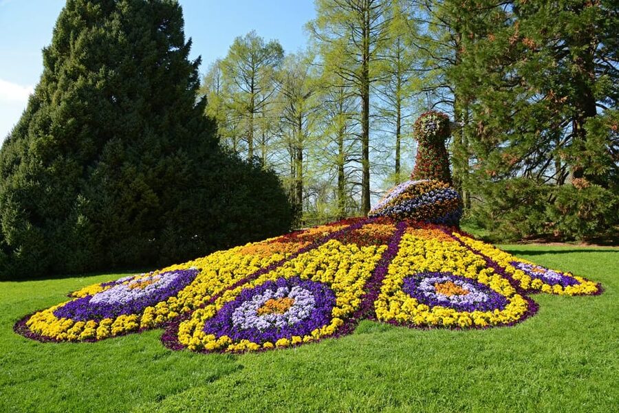 Konstanz: Mainau Island Entry Ticket - How much time should you allow?