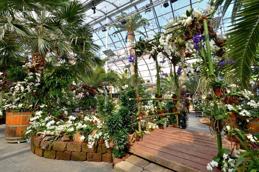 Konstanz: Mainau Island Entry Ticket - Is the $15 ticket good value?