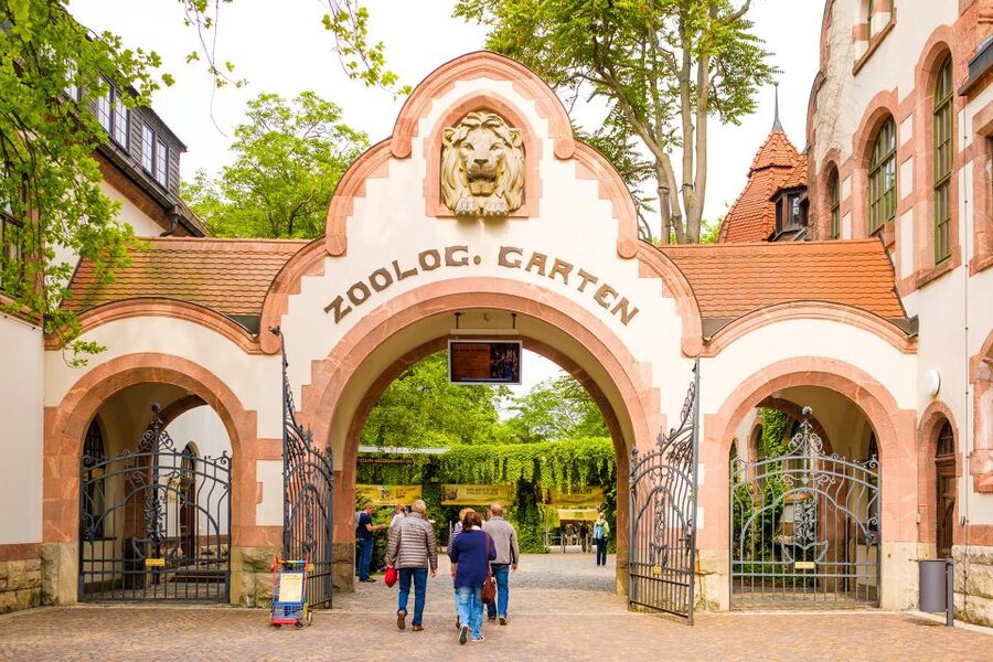 Leipzig: 1-Day Hop-On Hop-Off Bus and Leipzig Zoo Ticket - The $50 price and the value question