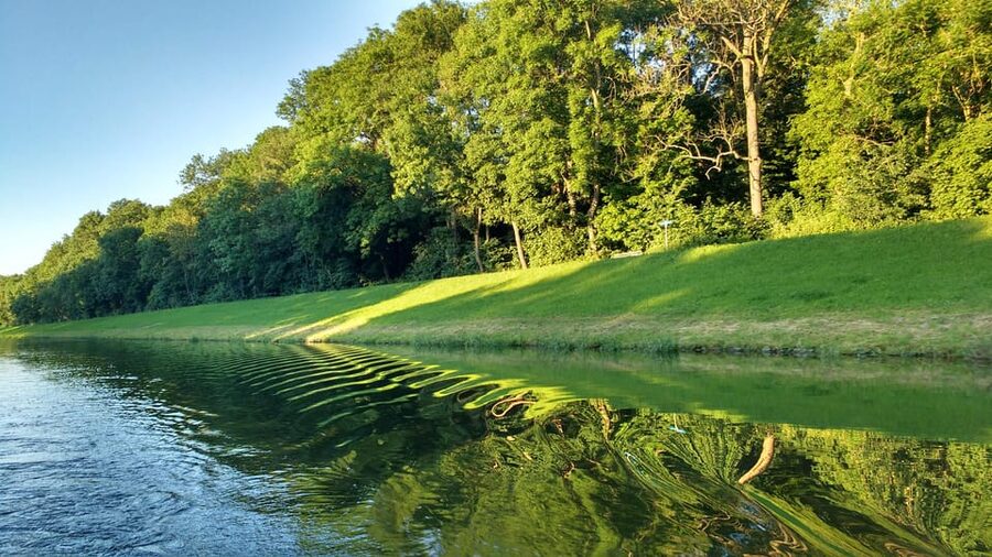Leipzig: 2-hour Auwald Motorboat Tour - Starting at Leipzig’s city harbor