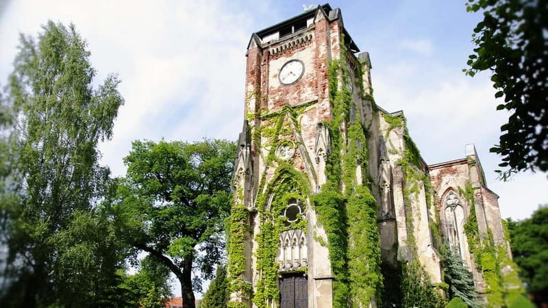 Leipzig: Hop-On-Hop-Off Bus Tour & City Walk - Markkleeberger Lake and the former mining area