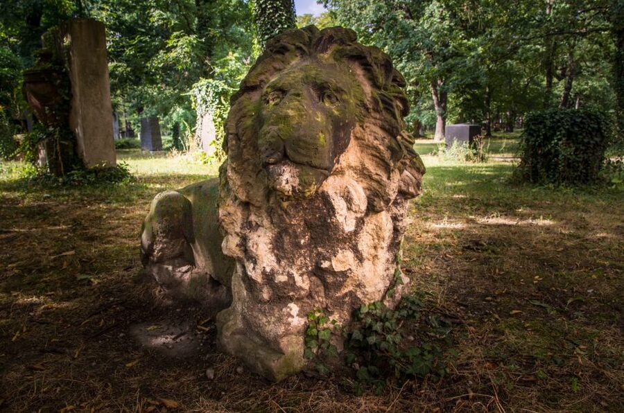Leipzig Old Cemetery: 75-Minute Dark History Tour - Key points to know before booking