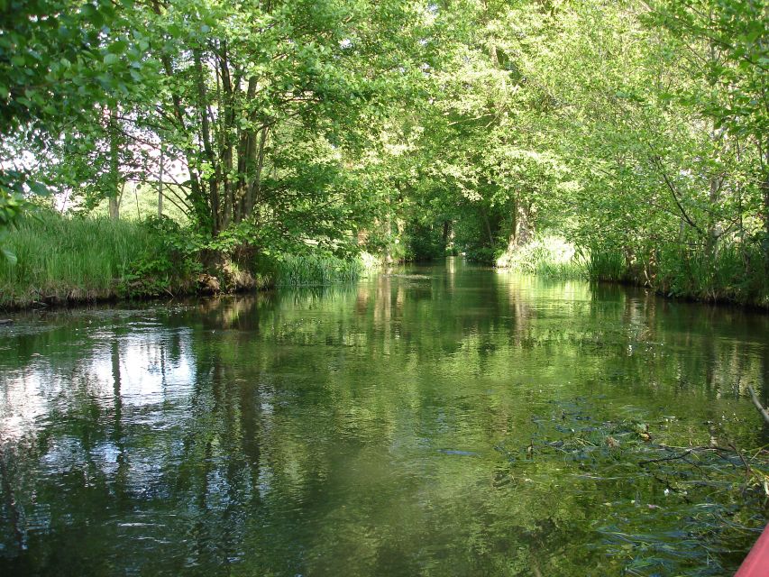 Leipzig: Riverside Forest Tour on the Pleiße - Ancient oaks, shade, and the floodplain forest
