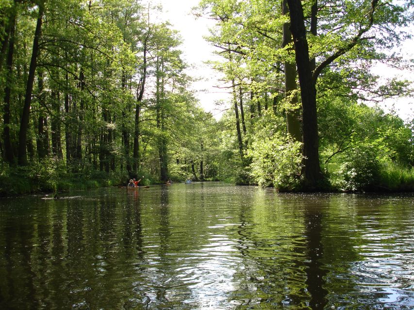 Leipzig: Riverside Forest Tour on the Pleiße - Who will enjoy this Leipzig nature tour