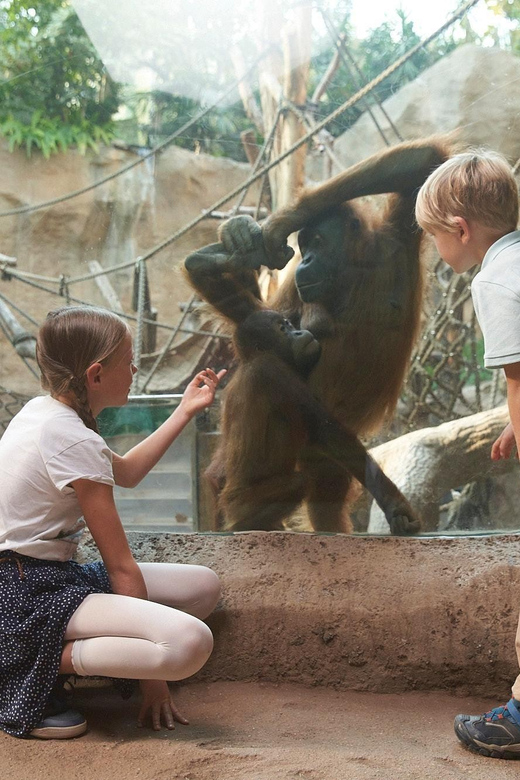 Leipzig Zoo: Entry Ticket - Why Leipzig Zoo Works Better Than a Quick Animal Visit