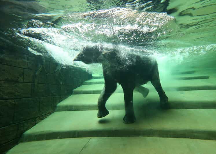 Leipzig Zoo: Entry Ticket - Pongoland and Four Great-Ape Species