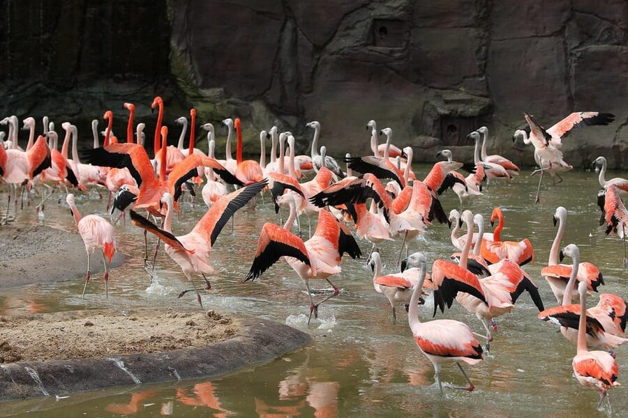 Leipzig Zoo: Entry Ticket - What the $22 Ticket Really Covers