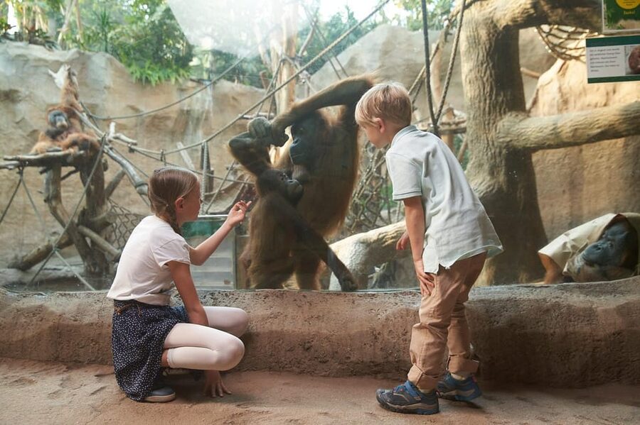 Leipzig Zoo: Entry Ticket - Access, Clothing, and Simple Planning Tips