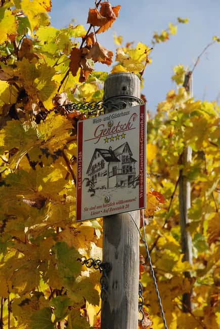 Lieser: Covered wagon ride, the rolling wine tasting with picnic basket - Is $62 a fair price?