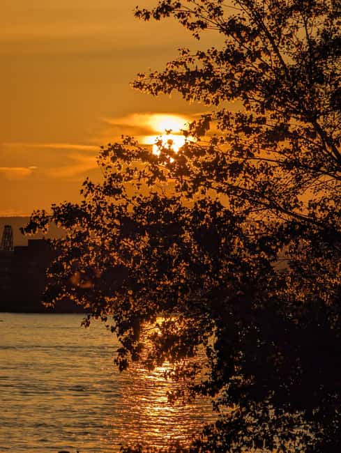 Mainz: guided evening tour of the Rhine embankment/old town in German and English - Starting beside the Rhine and the Theodor Heuss Bridge
