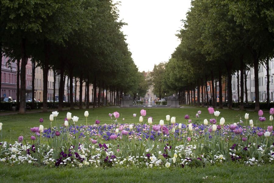 Munich: 3-Hour Food Tour Through Haidhausen in GERMAN - The French Quarter and Haidhausen’s changing character