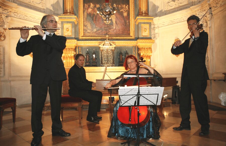 Munich: Classical Concert at the Residenz Palace - Acoustics, seating, and comfort