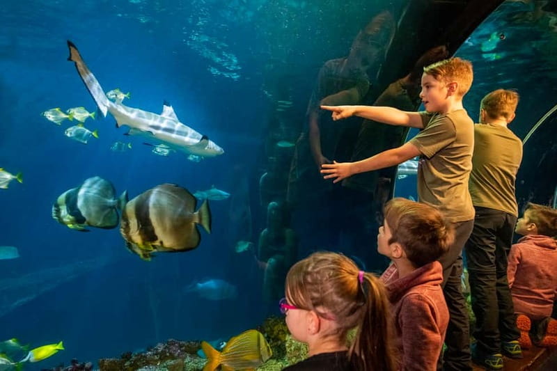 Munich: Day Ticket to Sea Life - Daily feeding shows add action to the visit
