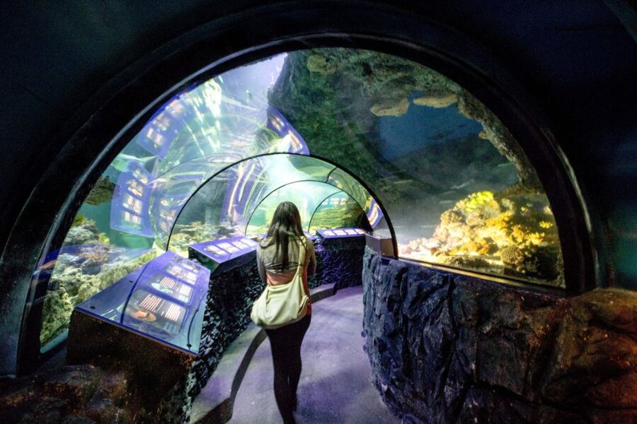 Munich: Day Ticket to Sea Life - Small creatures keep the tropical area from becoming predictable