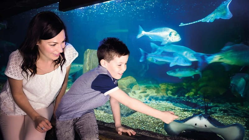 Munich: Day Ticket to Sea Life - Is $25 good value for Sea Life Munich?
