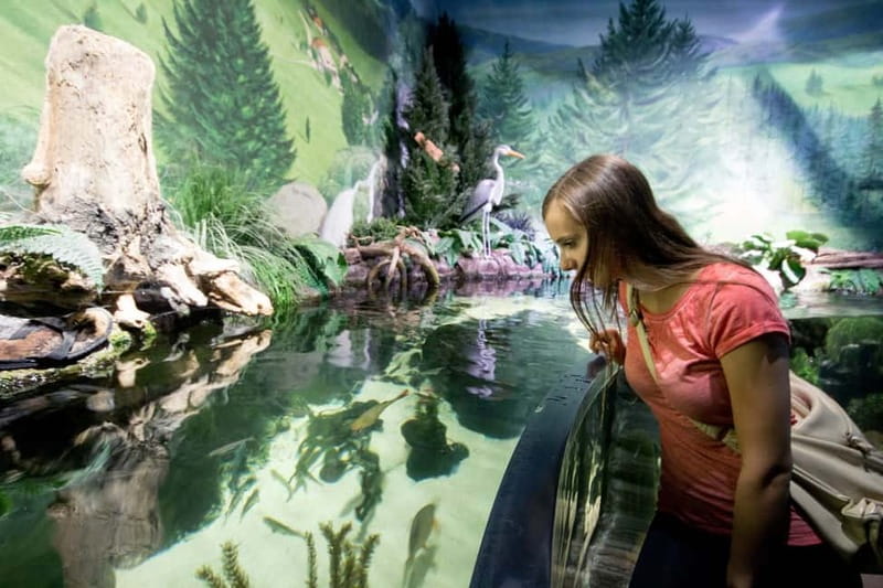 Munich: Day Ticket to Sea Life - Practical details before you go