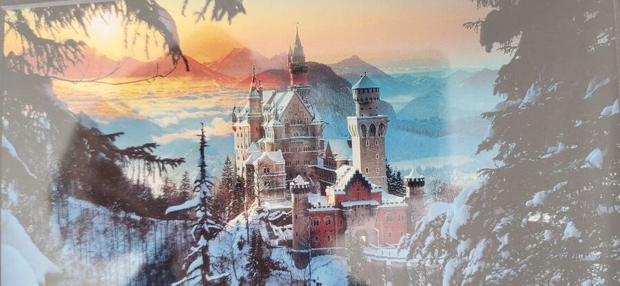Munich: Half-Day Skip-the-Line Neuschwanstein Castle Tour - The train to Füssen and the van connection