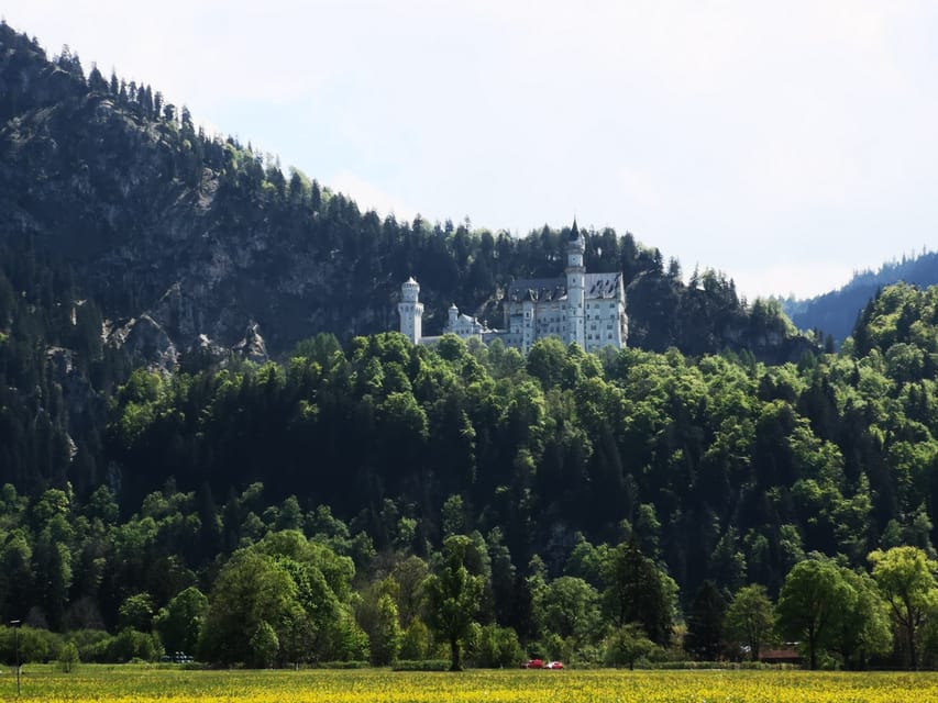 Munich: Neuschwanstein Castle by Bus with Alpine Bike Ride - Lunch at a local brewery