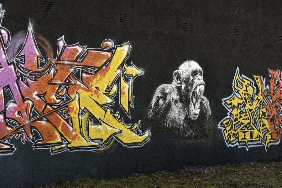 Munich: Street Art Bike Tour - Is $40 a Fair Price for 210 Minutes?